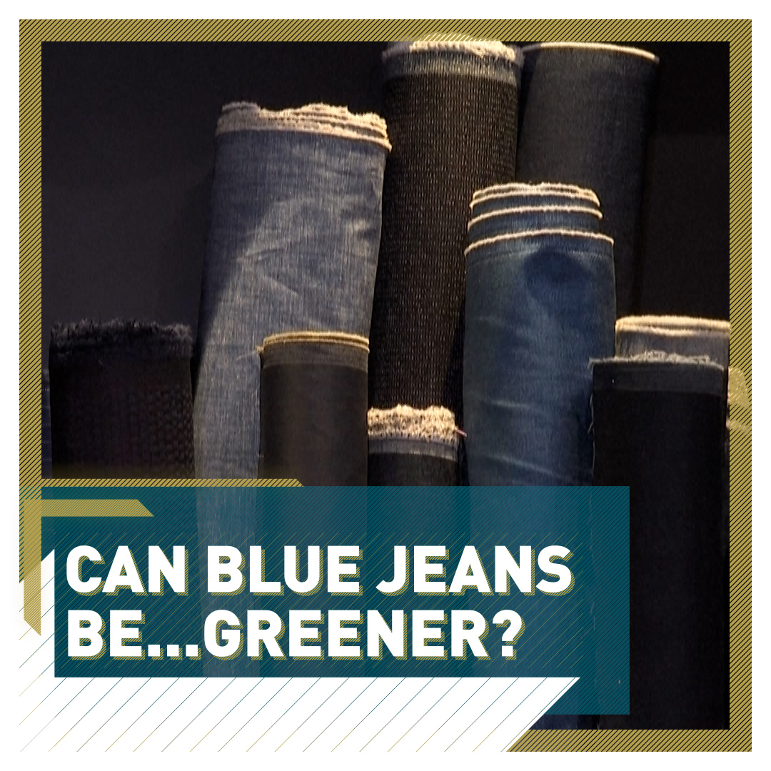 Blue jeans are heavily polluting – can they be made greener? - CGTN