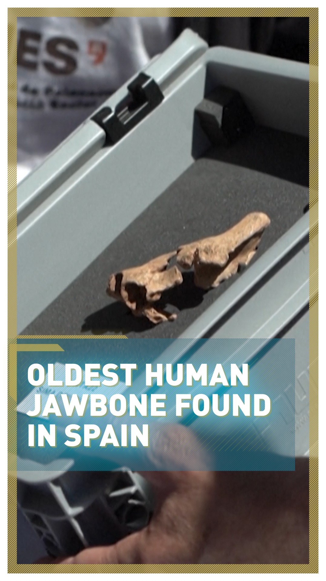 Los expertos creen que la mandíbula española es el fósil ‘humano’ más antiguo de Europa