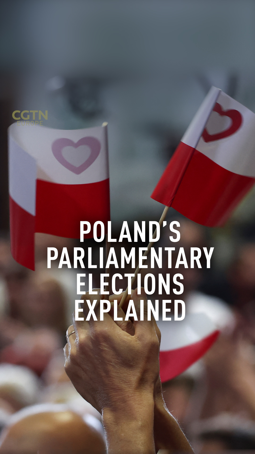 Poland Elections: What Are The Key Issues And Who's Most Likely To Win ...