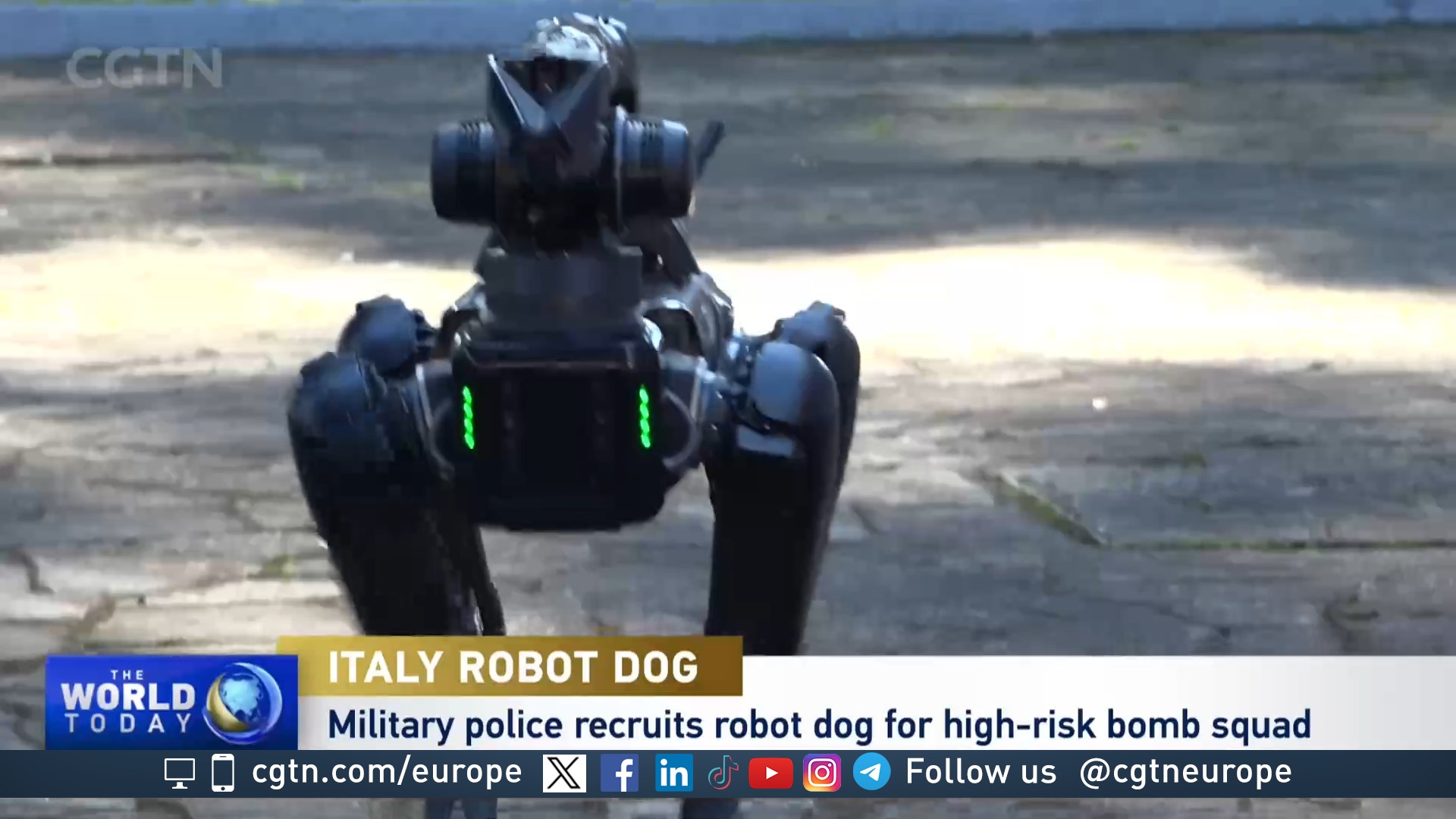 Robodog Saetta Carabinieri s new star recruit CGTN 