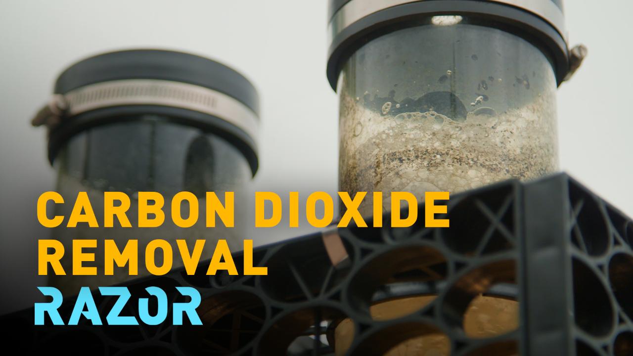 RAZOR: How algae captures CO2 and fights climate change - CGTN