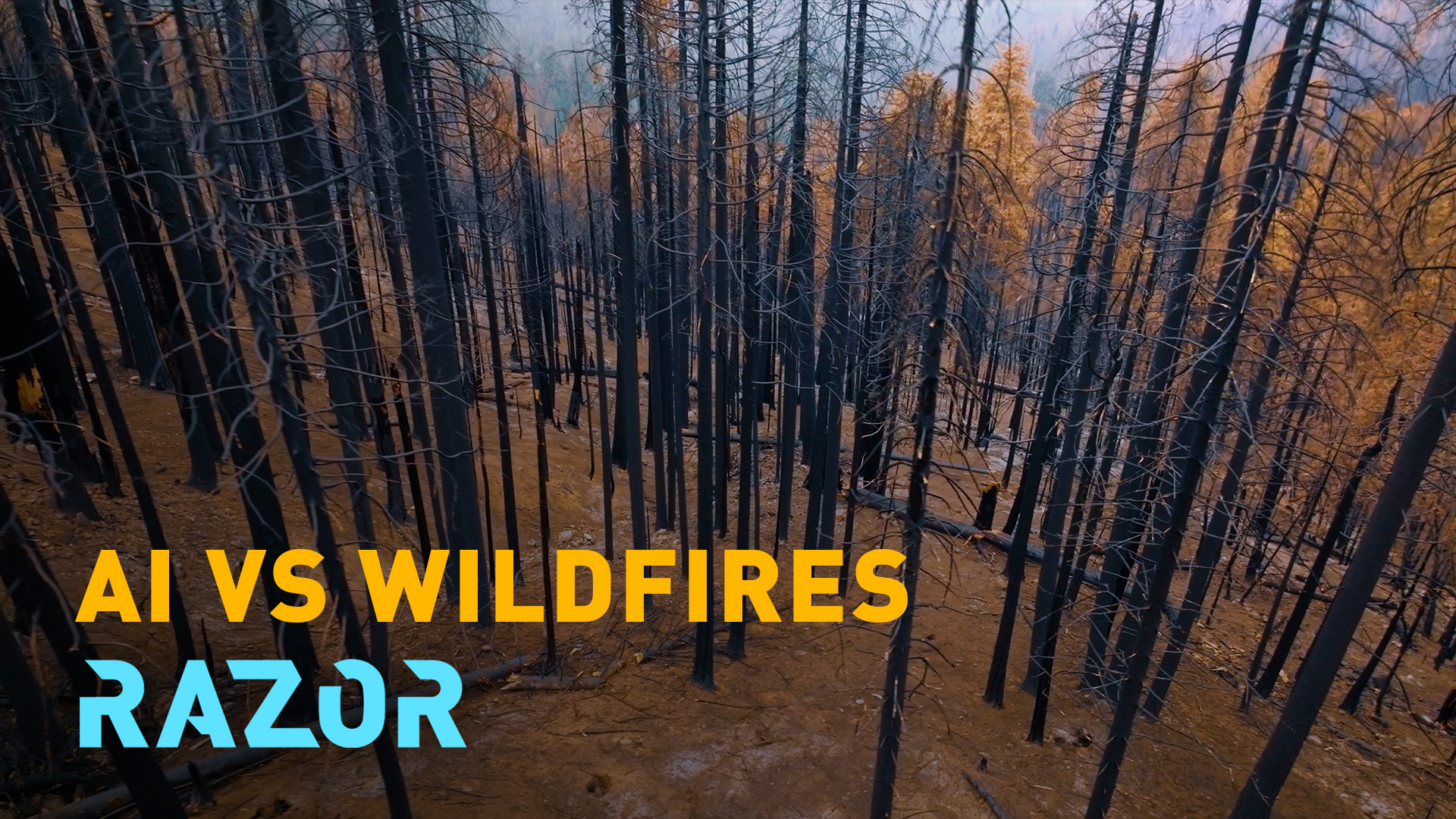 RAZOR: Can AI stop wildfires before they start? 