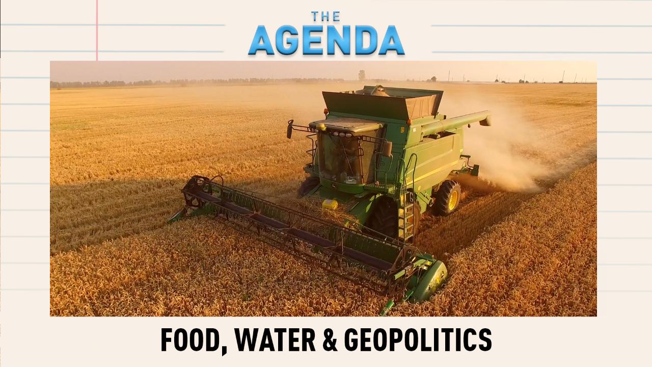 Iran Conflict: Is Global Food Security at Risk? - The Agenda